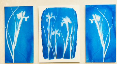 Плакат «Флора города»