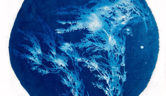 Индивидуальные проекты