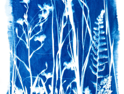 Премиум: на холсте