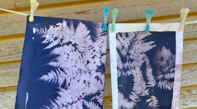 Арт-постер «Синий мак»