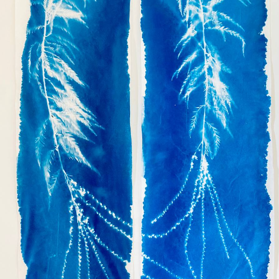 Цианотипия художника