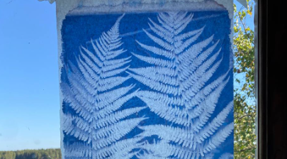 Цветочная цианотипия «Летний сад»