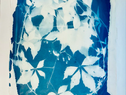 Классическая цианотипия