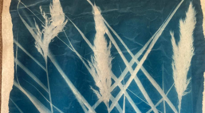 Графическая работа «Ветвь сакуры»